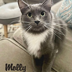 Thumbnail photo of Molly #2