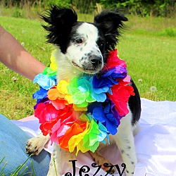 Thumbnail photo of Jezzy~adopted! #4