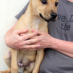 Thumbnail photo of Liam~adopted! #1