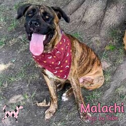Thumbnail photo of Malachi & Journey #2