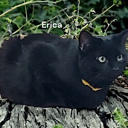 Thumbnail photo of Erica #4