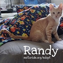 Thumbnail photo of Randy #2