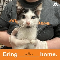 Thumbnail photo of Jethro #2