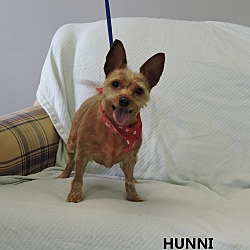 Thumbnail photo of Hunni #3