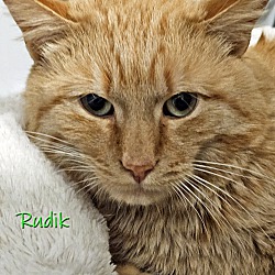 Photo of Rudik