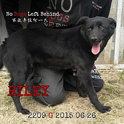 Photo of Riley 2209