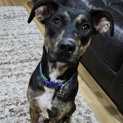 Photo of Trudy