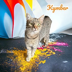 Thumbnail photo of Kymber #1