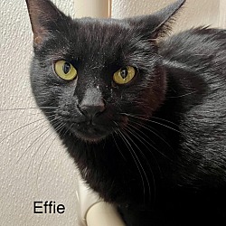 Photo of Effie