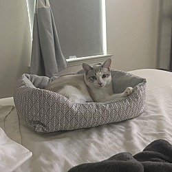 Photo of Charlotte