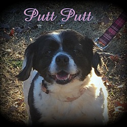 Thumbnail photo of Putt Putt #3