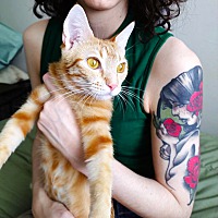 adopt a pet