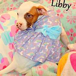 Thumbnail photo of Libby ~ meet me! #2