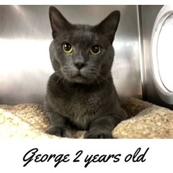 Thumbnail photo of George #2