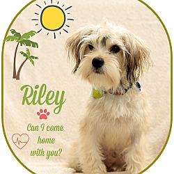 Thumbnail photo of Riley #2