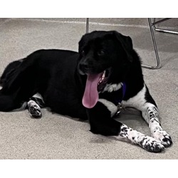 Photo of TONKA