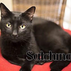 Thumbnail photo of Satchmo #2