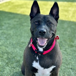 Photo of Betty