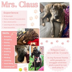 Thumbnail photo of Mrs. Claus #4
