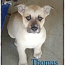 Photo of thomas
