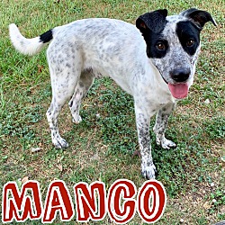 Thumbnail photo of Manco #4