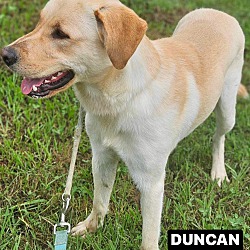 Photo of DUNCAN
