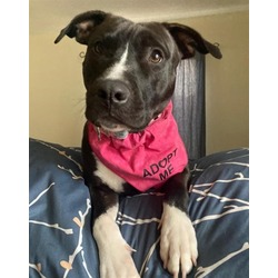 Photo of LUNA