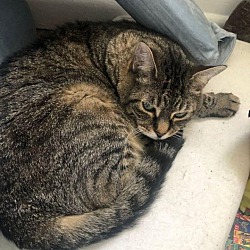 Photo of Baby