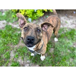 Photo of PENELOPE