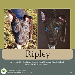 Photo of Ripley
