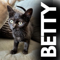 Thumbnail photo of Betty #2