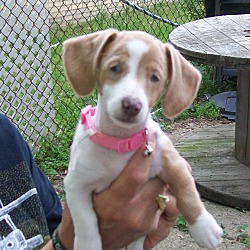 Thumbnail photo of Peepers-ADOPTED!! #1