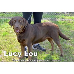 Photo of LUCY LOU
