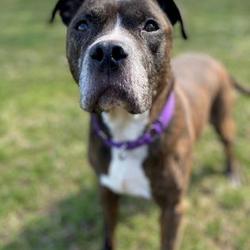 Cedar Valley Humane Society in Cedar Rapids, Iowa