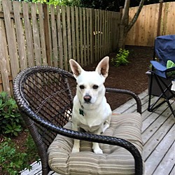 Photo of Jill - Sweet Little One