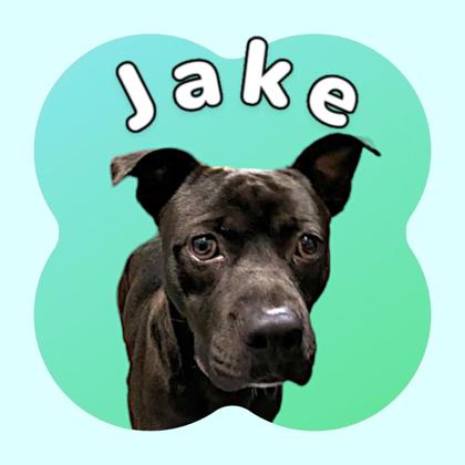 Thumbnail photo of Jake #1