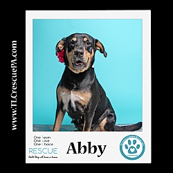 Thumbnail photo of Abby 110423 #4