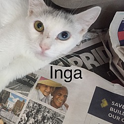 Photo of Inga