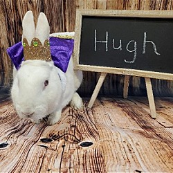Thumbnail photo of Hugh #3
