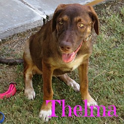 Thumbnail photo of Thelma #1