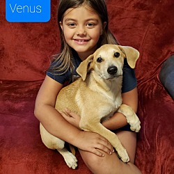 Thumbnail photo of Venus updated pic included #1