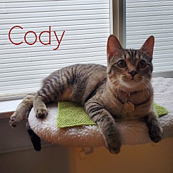 Thumbnail photo of Cody #1