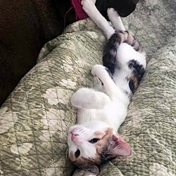 Photo of Phoebe