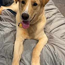 Photo of Oliver