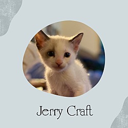 Photo of Jerry Craft
