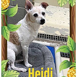 Thumbnail photo of Heidi #2