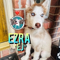 Thumbnail photo of Ezra Jean  AKA EJ #1