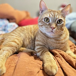 Photo of Lucas