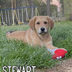 Photo of Stewart - Warwick, RI