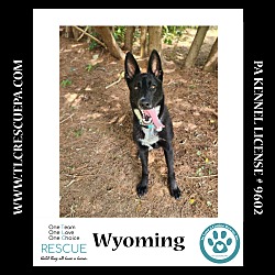 Thumbnail photo of Wyoming 062224 #1